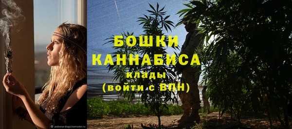не бодяженный Горно-Алтайск