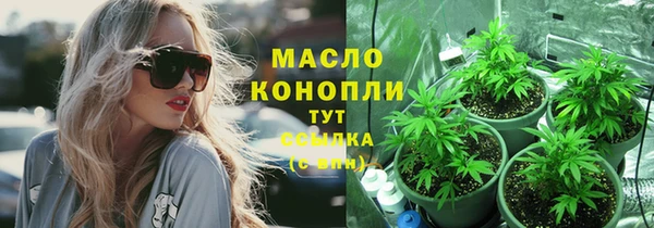 не бодяженный Горно-Алтайск