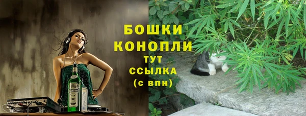 прущая мука Вяземский