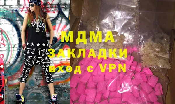 индика Гусь-Хрустальный