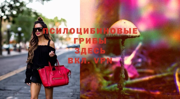 прущая мука Вяземский