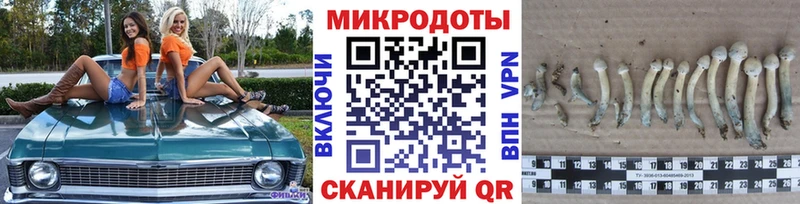 дарк нет Telegram Ядрин Псилоцибиновые грибы GOLDEN TEACHER